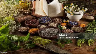 专业按摩教程：广州桑拿按摩师的必备技能 图片