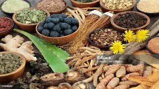 桑拿常识知多少？广州桑拿爱好者必读指南 图片