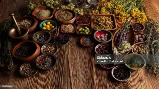 广州桑拿按摩行业政策新规解读：规范化发展与健康未来 图片