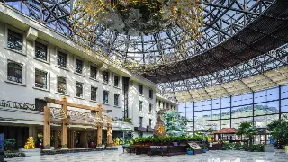 广州按摩养生新规解读：擦亮双眼，别让“放松”变“风险”！