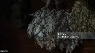 按摩行业风向标：最新政策法规解读与广州按摩未来趋势