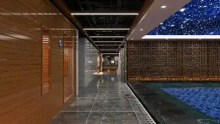 广州桑拿大揭秘：别只知道干蒸湿蒸，这几种特色桑拿才叫真享受！