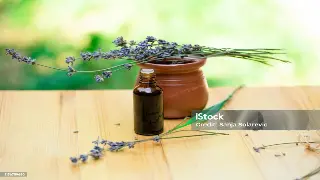 广州桑拿老司机私藏秘籍：避坑指南&amp;花式玩法，带你玩转桑拿常识！