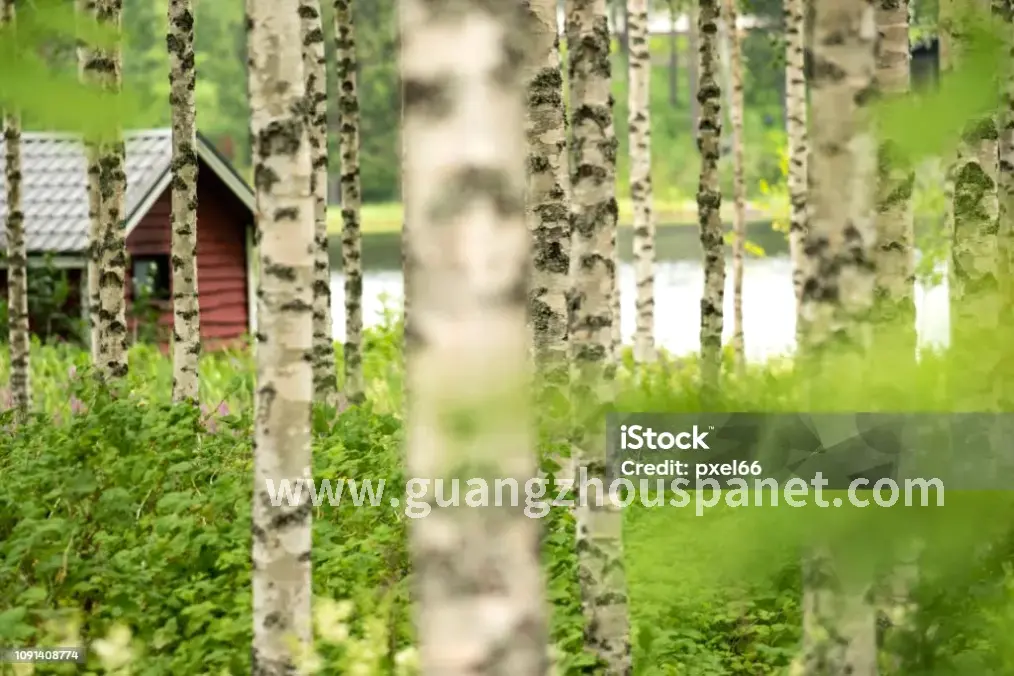 养生行业政策解读