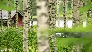 广州养生新篇章：政策法规如何引领行业健康发展 特色图片