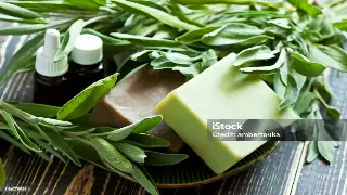 广州桑拿新升级：智能恒温桑拿设备，解锁极致养生体验！ 特色图片